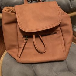 Target Backpack purse