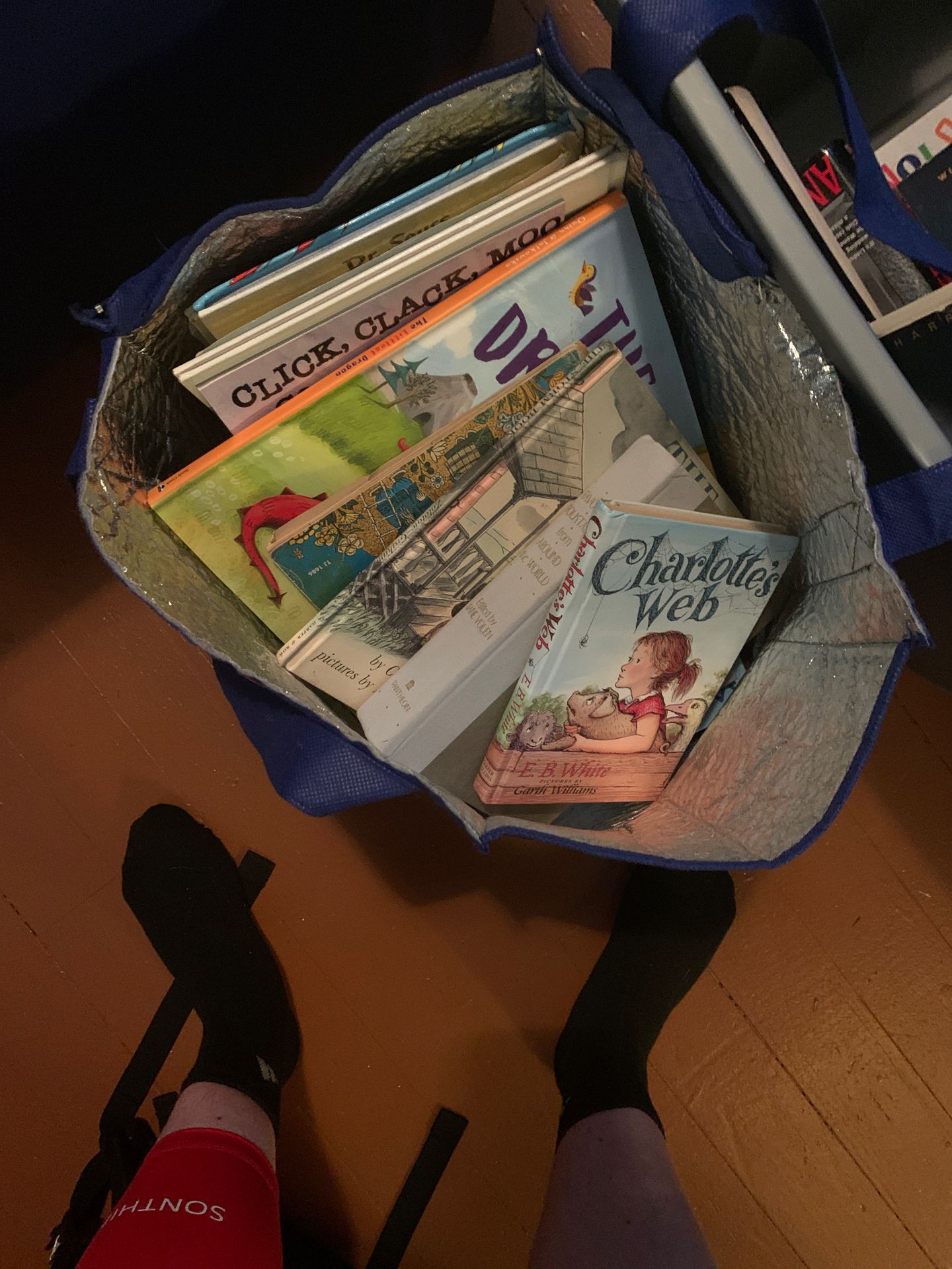 Bag of children’s books