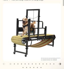 Paw Paws Dog treadmill