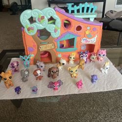 Pet Shop  /and More