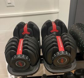 Bowflex SelectTech 552 Adjustable Dumbbells (Pair)