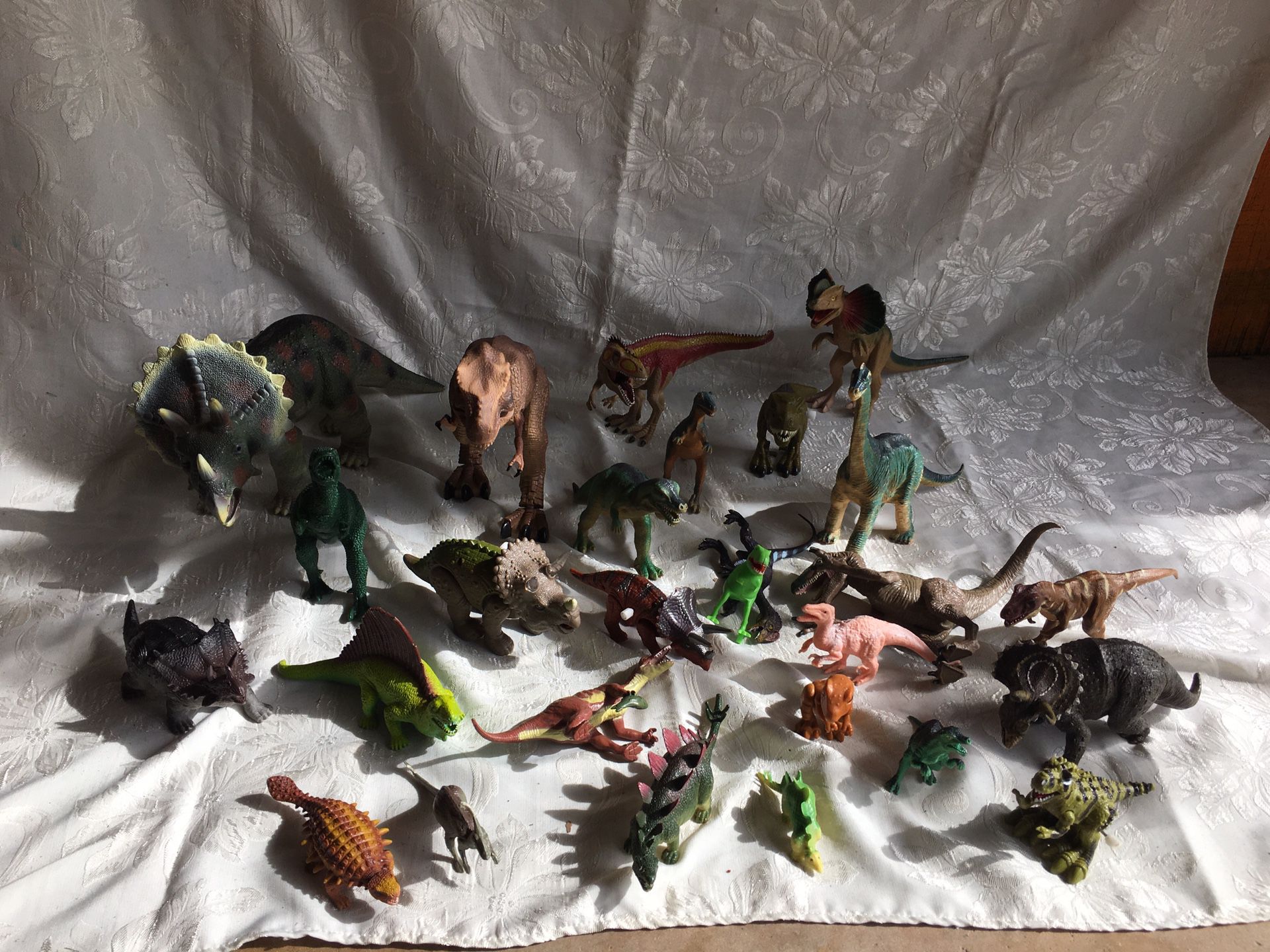 Dinosaur Lot