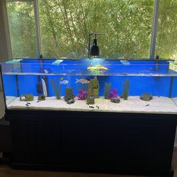 125 Gallon Tank And Stand 