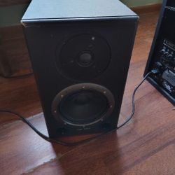 Roland DS90 Studio Monitors 