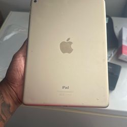 iPad