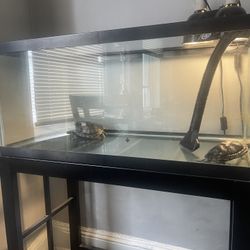 Turtle Tank+stand
