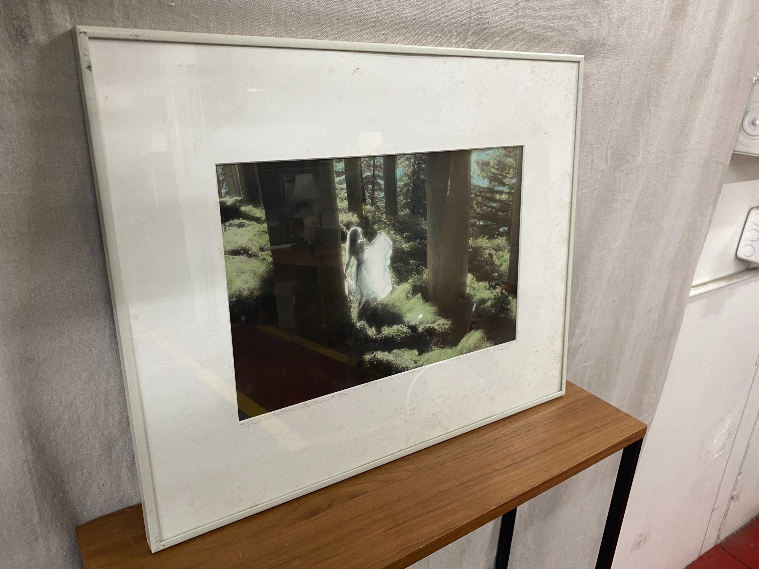 “Spirit in the Redwood Forest” Print