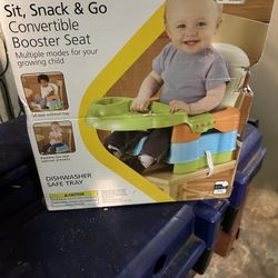 Convertible Booster Seat 