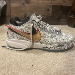 LeBron 20 US 10.  Slightly Used.