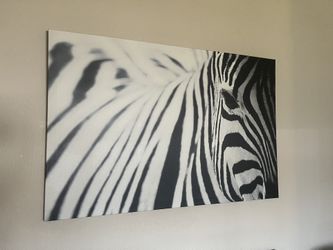 Zebra Wall Art