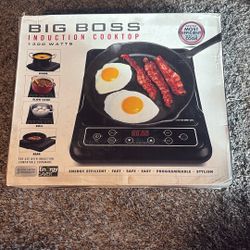 Big Boss 1300-Watt Induction Cooktop