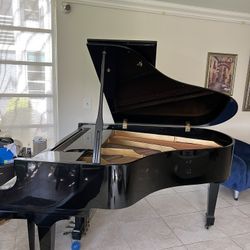 Baby Grand Piano 