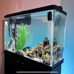 75 Gallon Fish Tank Aquarium