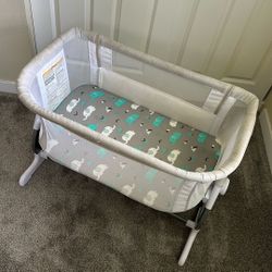 Baby Delight Bassinet 