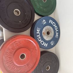 Bumper Plates Rogues 