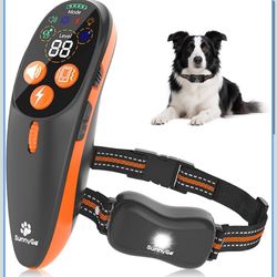 Shock Collar for Dog