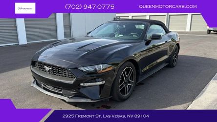 2019 Ford Mustang