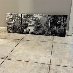 Lake sacandaga Canvas Print