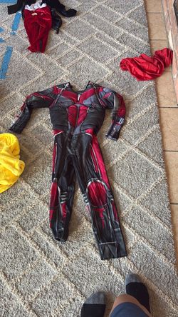 Ant man costume