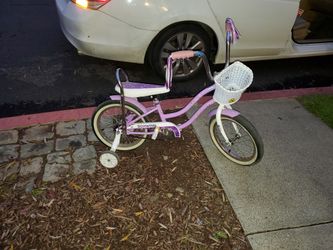 Schwinn 16 Jamberry With Trainning Wheels 