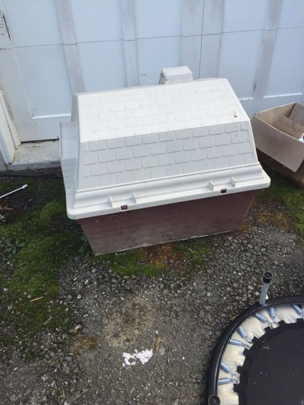 Dog house
