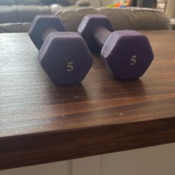 5lb Dumbells 