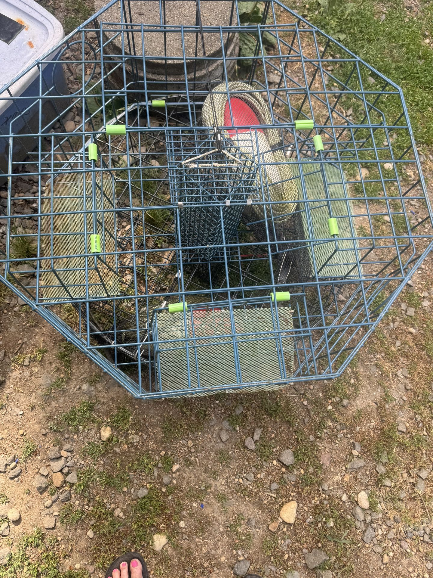 Crab cages