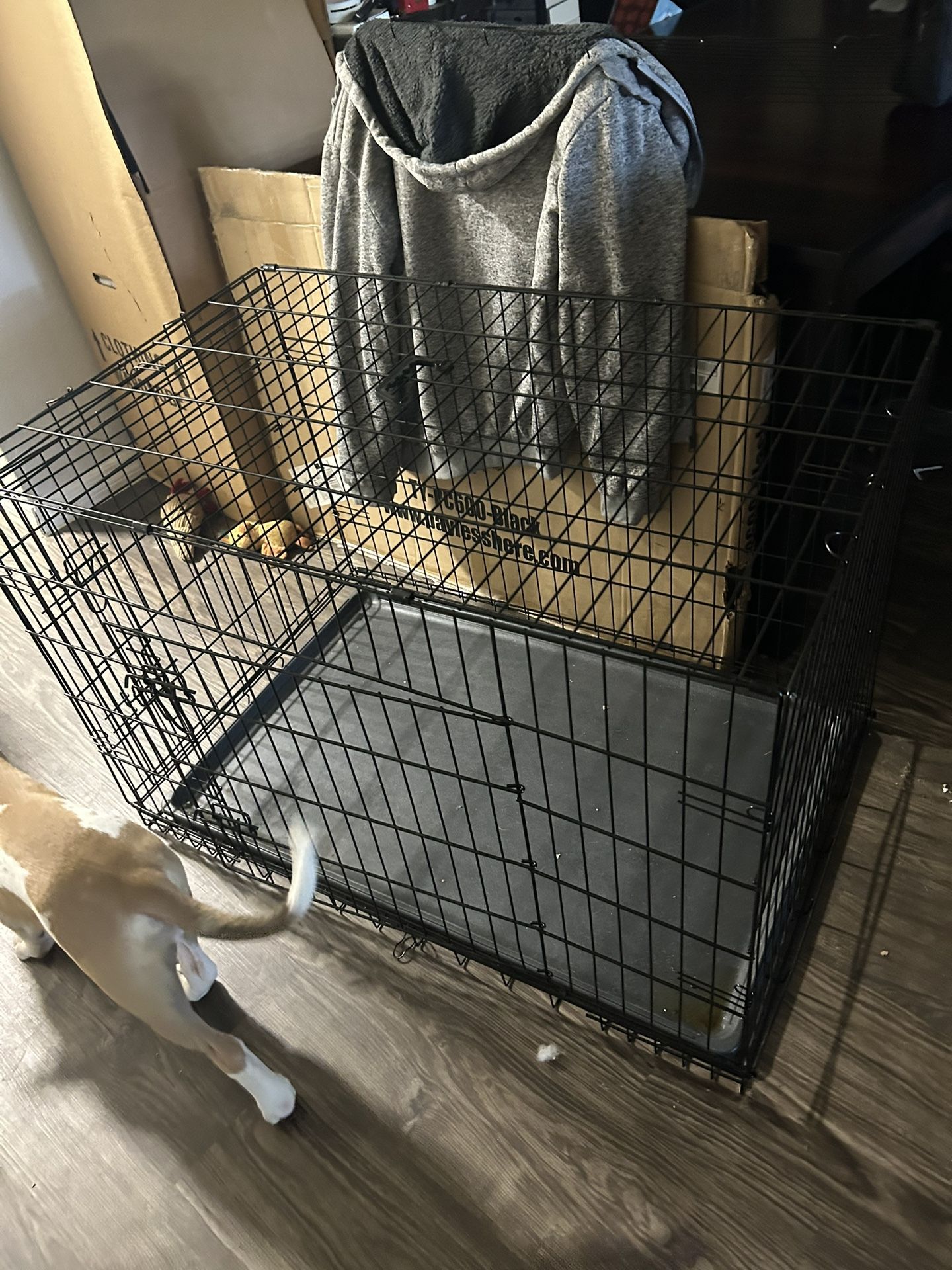 Dog Kennel