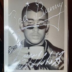 Bad Bunny Book Stillz