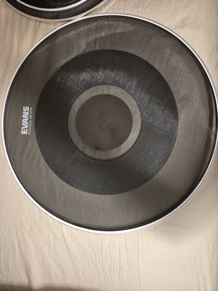 Evans Db1 Quite Heads