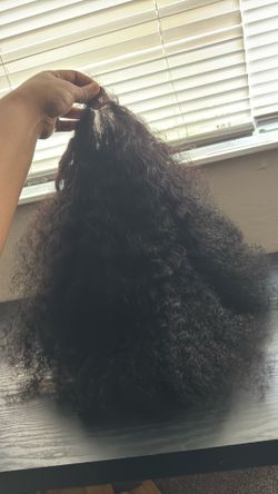 24in Burmese Wig ,180% Density