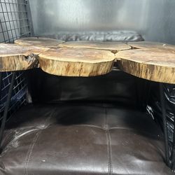 Authentic Tree (coffee table) Table 