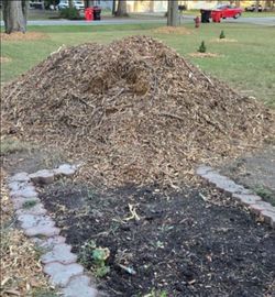 Free Wood Chip Pile Mulch