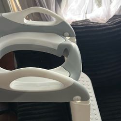 Toddler Potty Seat 