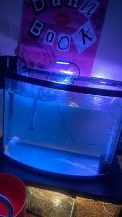 75 gal tank setup