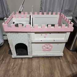 Dog House 