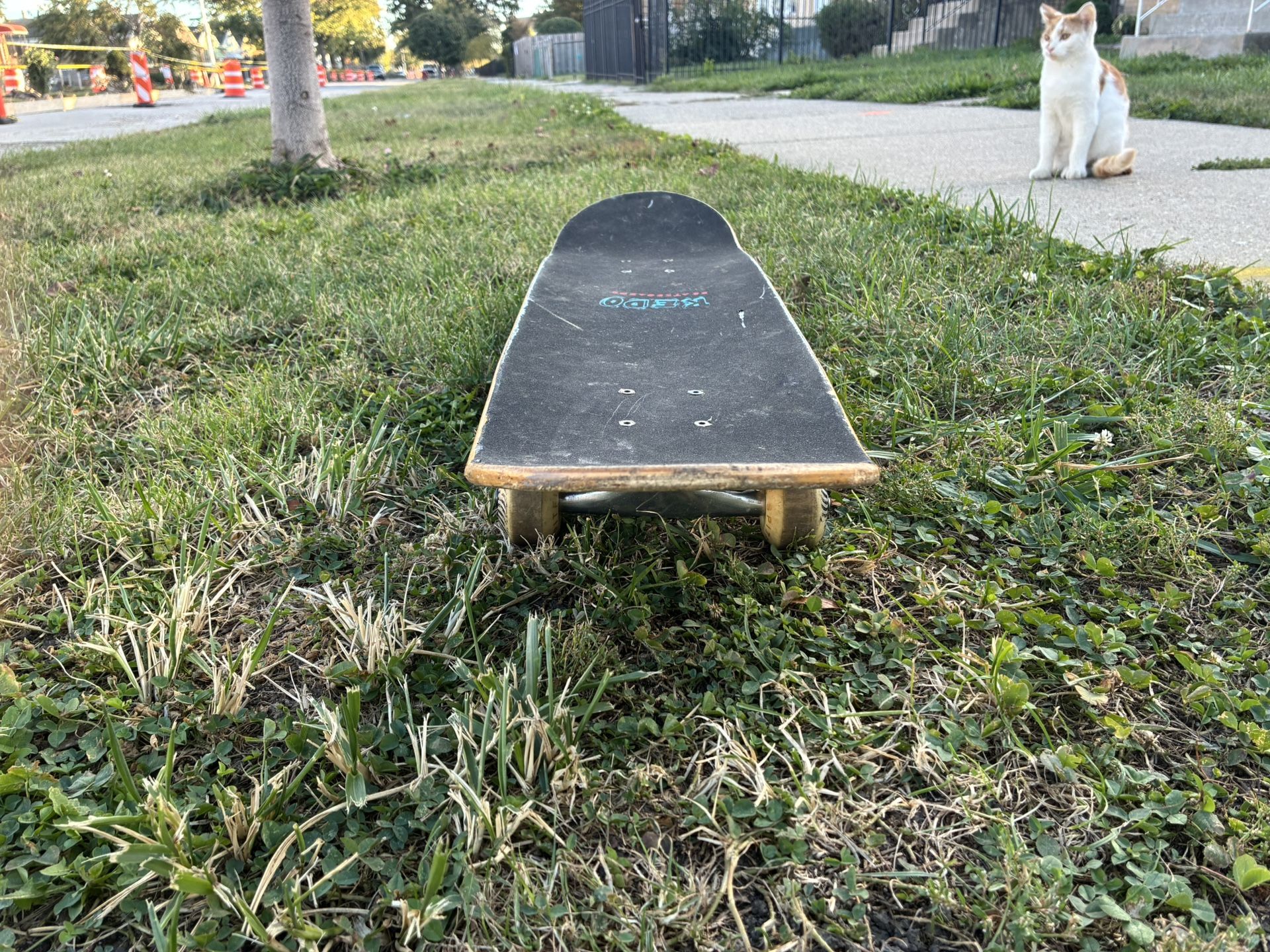 Redo Skateboard 31 Inches 7.62inch