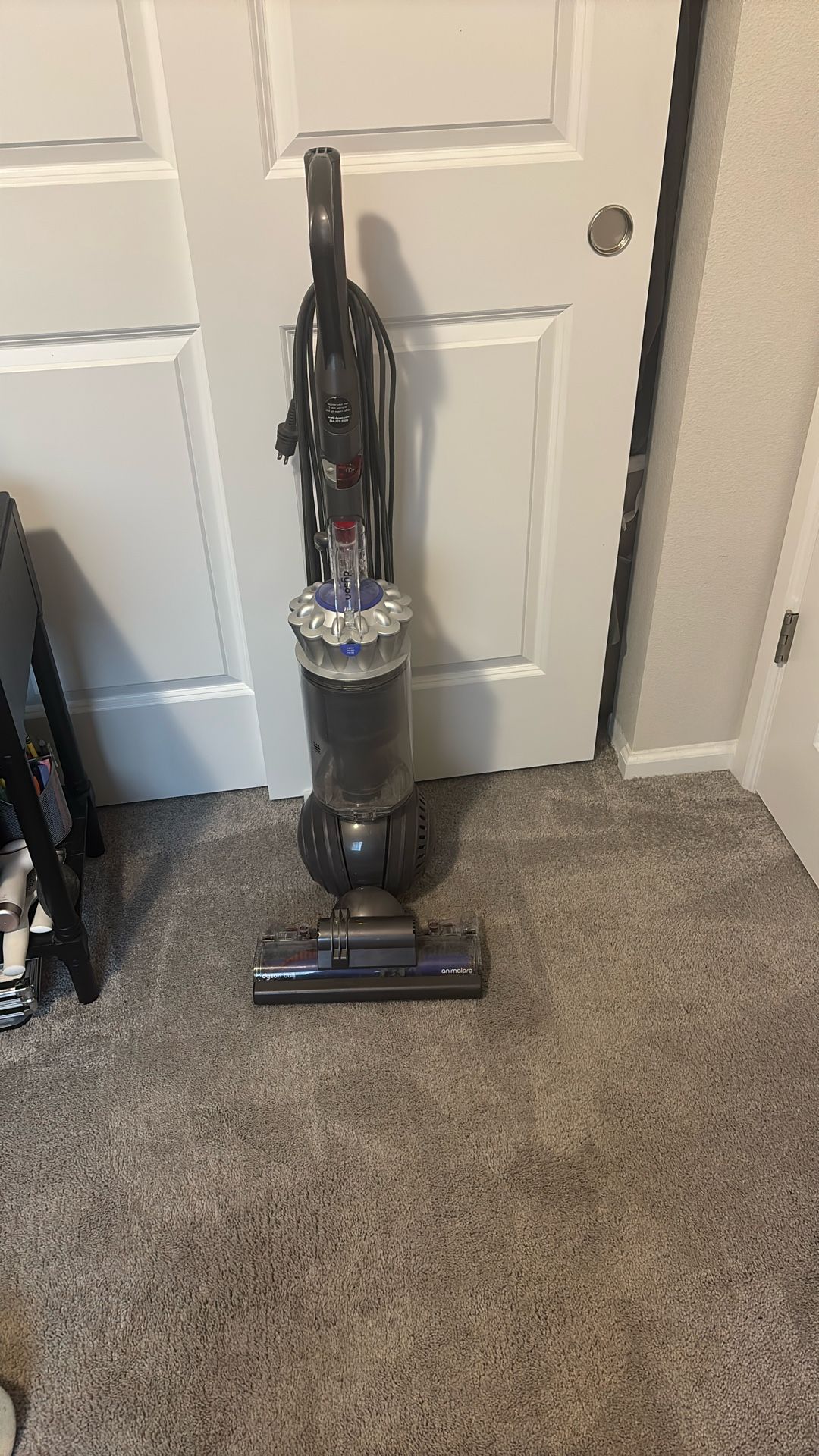 Dyson Ball Animal Pro Vacuum