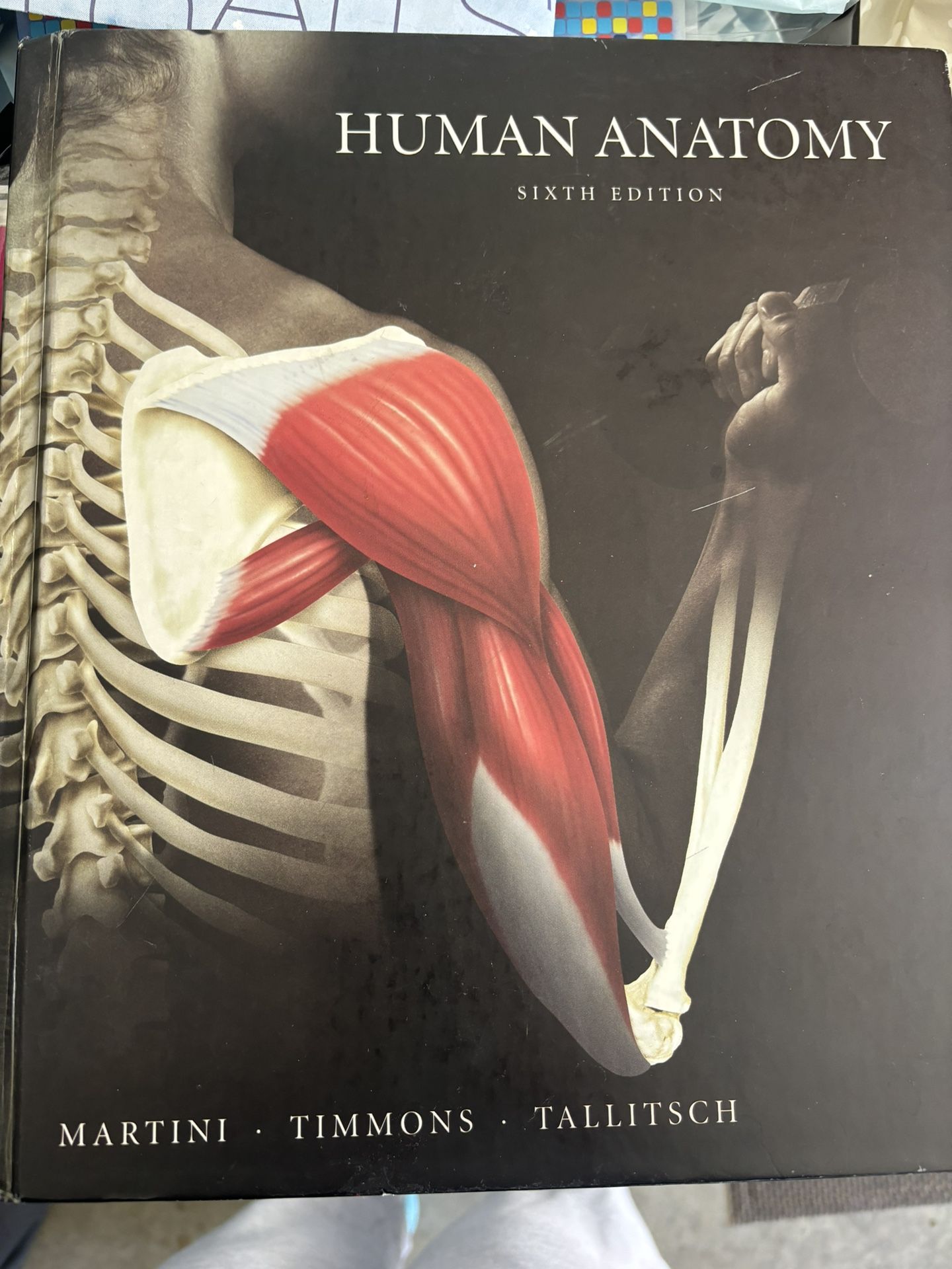Human Anatomy book,All Products : American Fashion Style Bags On Sale