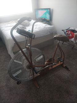 SCHWINN  air-dyne
