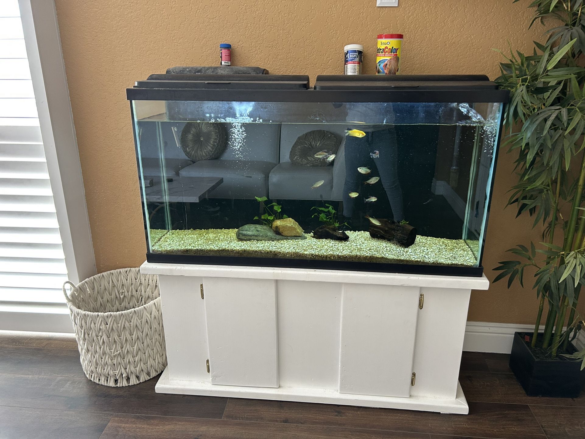 Fish Tank And Stand