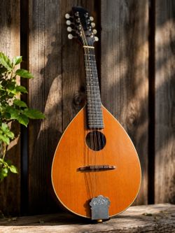 Handmade Mid-Missouri Mandolin Co. M-3 – Solid Spruce & Rosewood – Made in USA