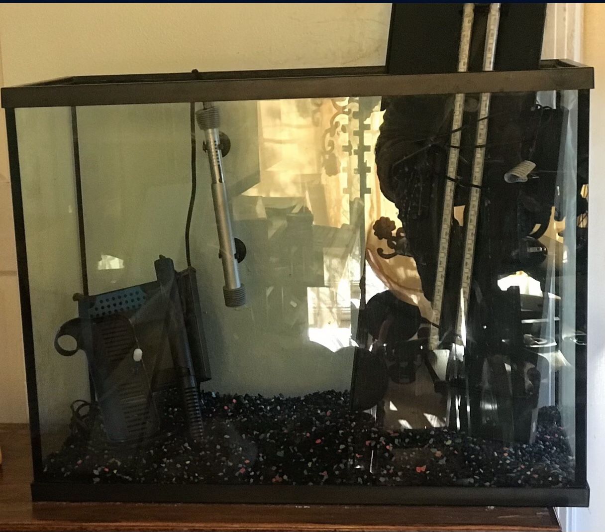 Fish Tank