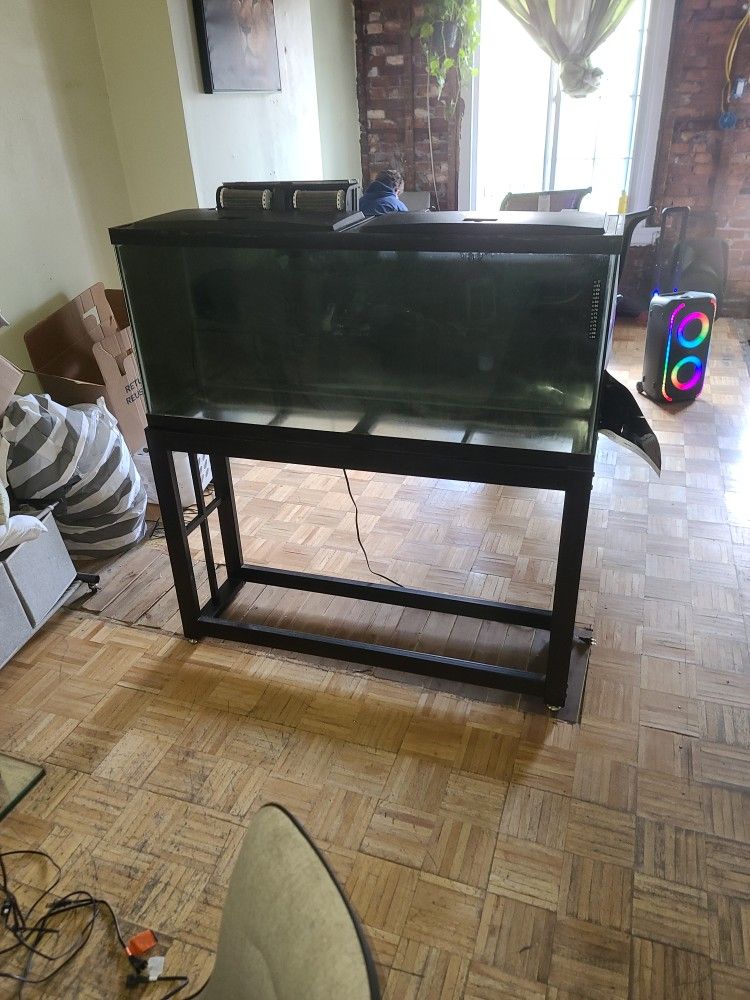 55 Gal Fish Tank With Stand 