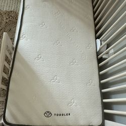 Organic Crib Mattress