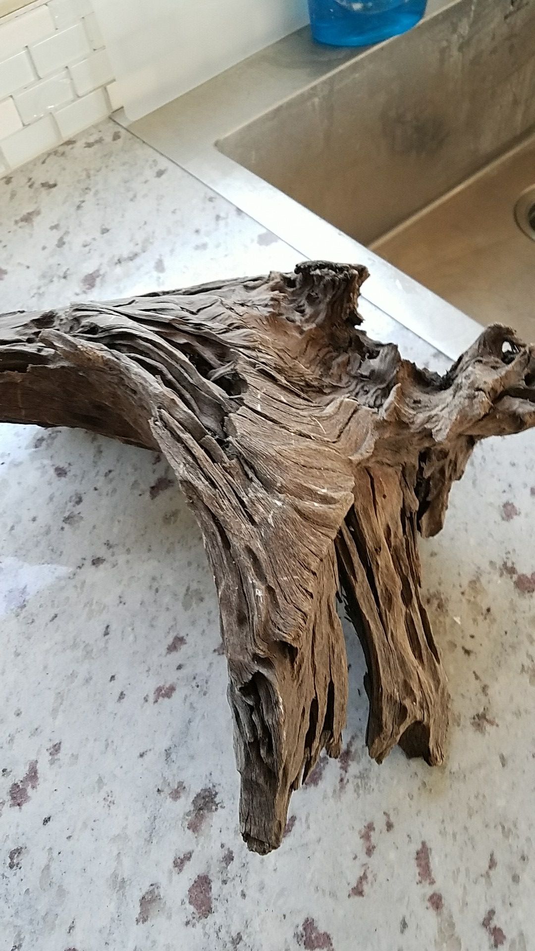 Driftwood