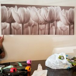 Tulip Picture