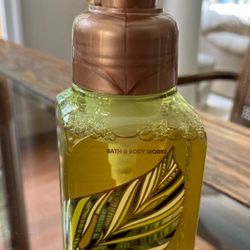 Bath & Body Works Watermelon Mojito Gentle Foaming Hand Soap 8.75 oz