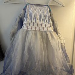 Disney Frozen Halloween Costume For Girls 2-4T 