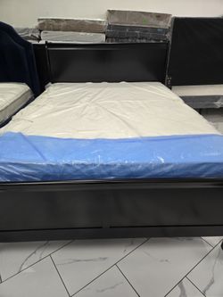 Queen Sizes Bed With Mattress